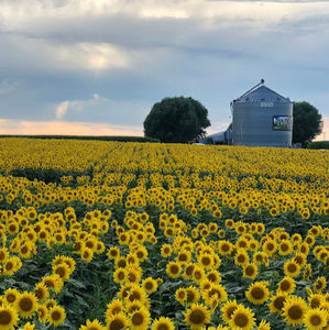 Meet your Posher, Ava